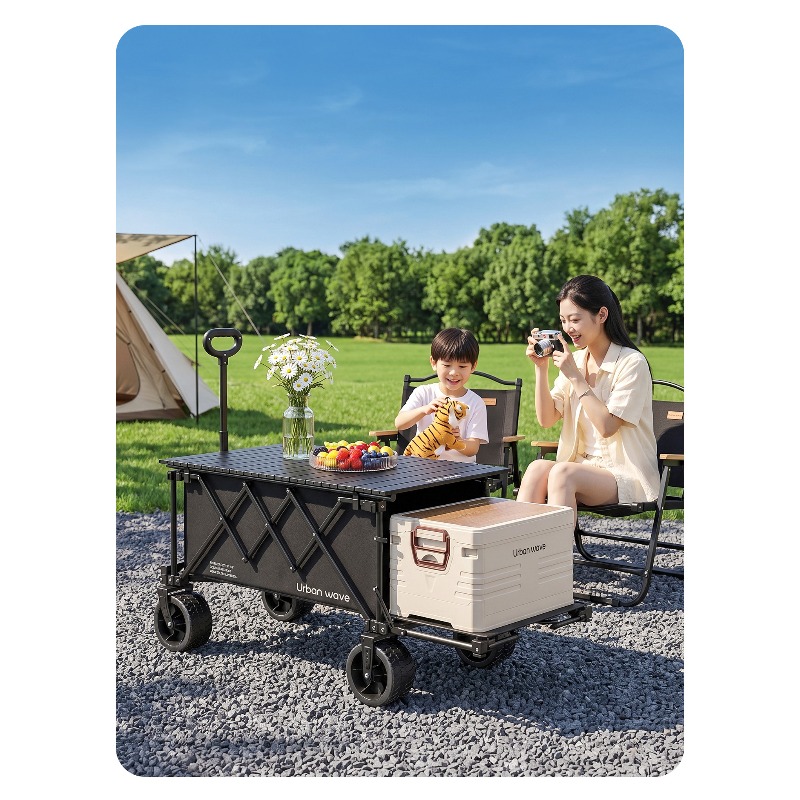 Carrito de Camping Plegable, C - Outdoor Furniture reseña y precio